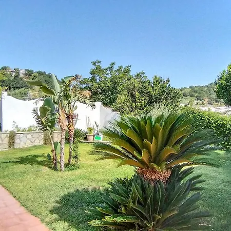 Holiday home Amazing In Forio-panza With Kitchen