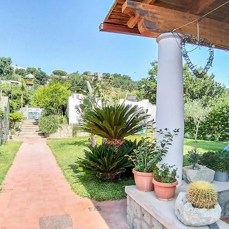 Amazing In Forio-panza With Kitchen Forio (Isola d'Ischia)